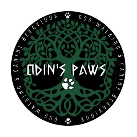 odins_paws_featured